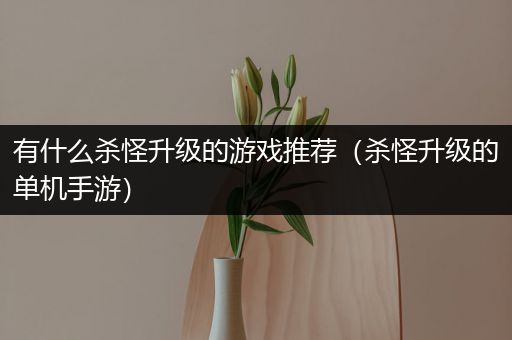 有什么杀怪升级的游戏推荐（杀怪升级的单机手游）