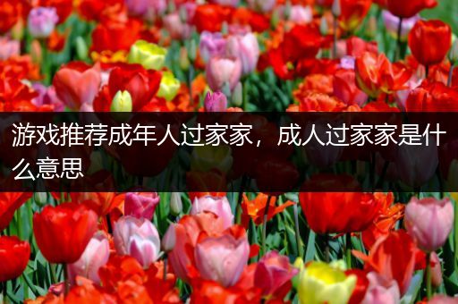 游戏推荐成年人过家家，成人过家家是什么意思