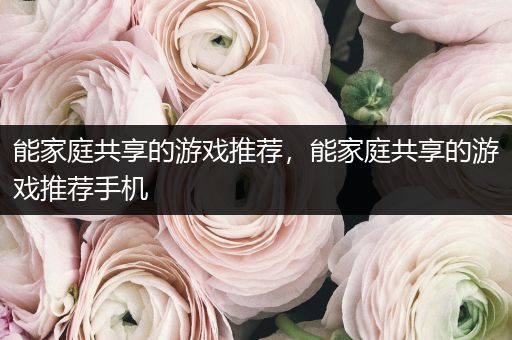 能家庭共享的游戏推荐，能家庭共享的游戏推荐手机