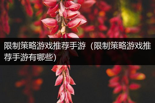 限制策略游戏推荐手游（限制策略游戏推荐手游有哪些）