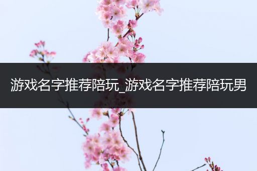 游戏名字推荐陪玩_游戏名字推荐陪玩男