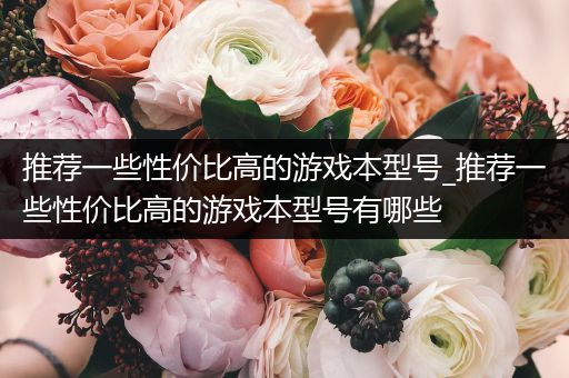 推荐一些性价比高的游戏本型号_推荐一些性价比高的游戏本型号有哪些
