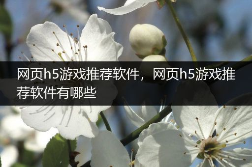 网页h5游戏推荐软件，网页h5游戏推荐软件有哪些