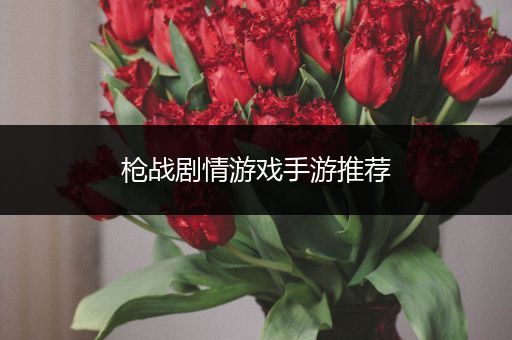 枪战剧情游戏手游推荐