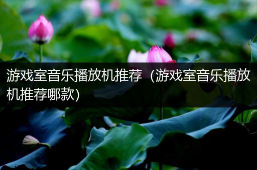 游戏室音乐播放机推荐（游戏室音乐播放机推荐哪款）