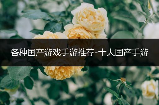 各种国产游戏手游推荐-十大国产手游