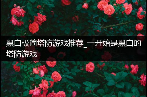 黑白极简塔防游戏推荐_一开始是黑白的塔防游戏