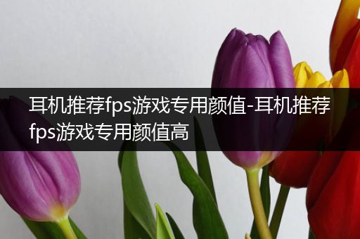 耳机推荐fps游戏专用颜值-耳机推荐fps游戏专用颜值高