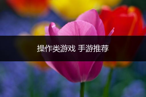 操作类游戏 手游推荐