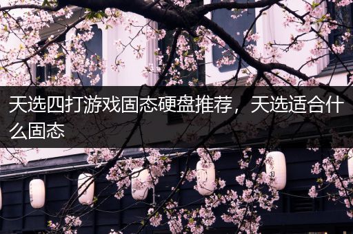 天选四打游戏固态硬盘推荐，天选适合什么固态