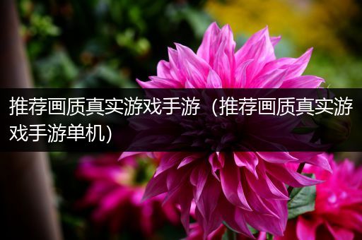 推荐画质真实游戏手游（推荐画质真实游戏手游单机）