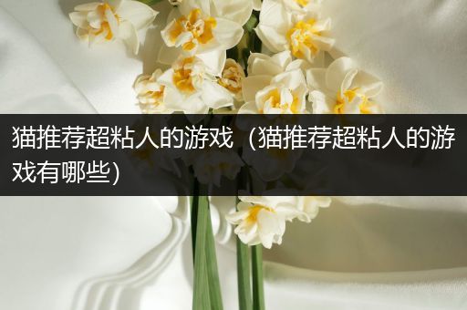 猫推荐超粘人的游戏（猫推荐超粘人的游戏有哪些）