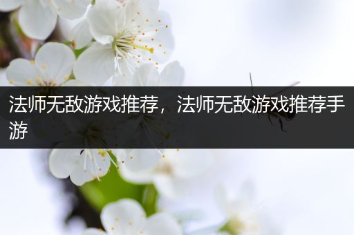法师无敌游戏推荐，法师无敌游戏推荐手游