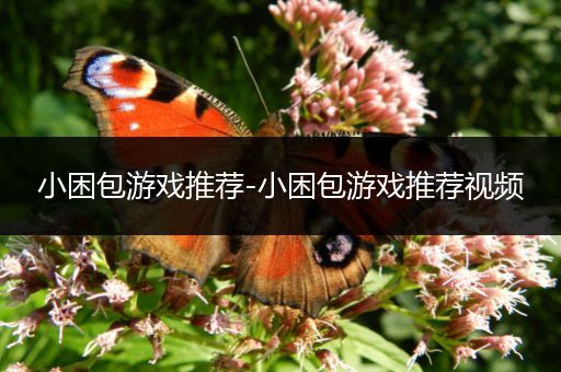 小困包游戏推荐-小困包游戏推荐视频