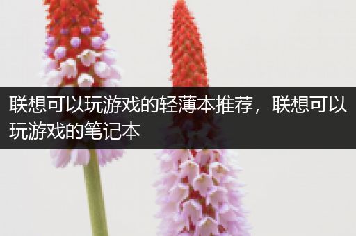 联想可以玩游戏的轻薄本推荐，联想可以玩游戏的笔记本