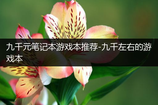 九千元笔记本游戏本推荐-九千左右的游戏本