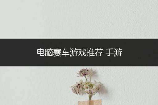 电脑赛车游戏推荐 手游