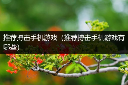 推荐搏击手机游戏（推荐搏击手机游戏有哪些）