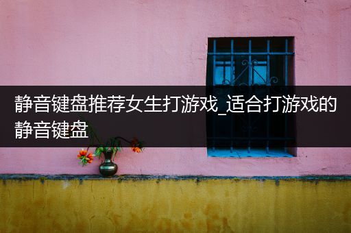 静音键盘推荐女生打游戏_适合打游戏的静音键盘