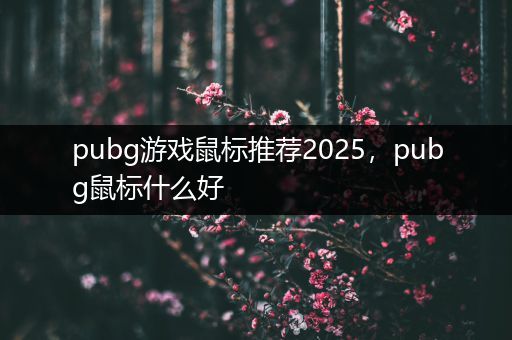 pubg游戏鼠标推荐2025，pubg鼠标什么好