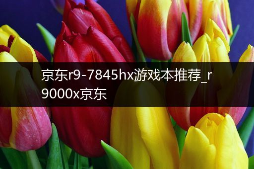 京东r9-7845hx游戏本推荐_r9000x京东