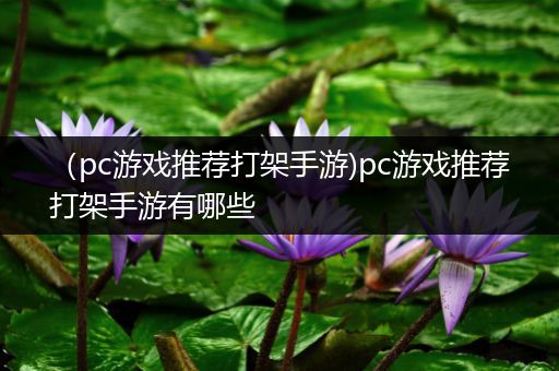 （pc游戏推荐打架手游)pc游戏推荐打架手游有哪些