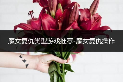 魔女复仇类型游戏推荐-魔女复仇操作