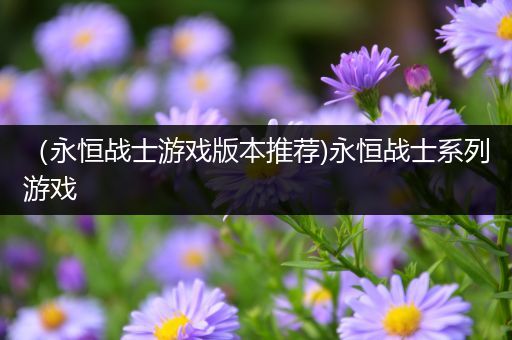 （永恒战士游戏版本推荐)永恒战士系列游戏