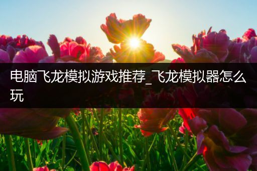 电脑飞龙模拟游戏推荐_飞龙模拟器怎么玩