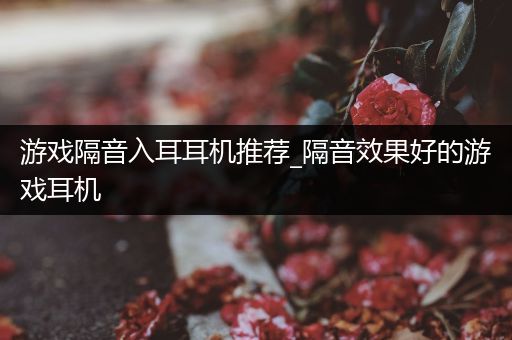 游戏隔音入耳耳机推荐_隔音效果好的游戏耳机