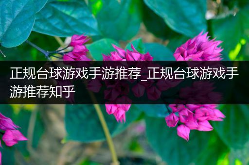 正规台球游戏手游推荐_正规台球游戏手游推荐知乎