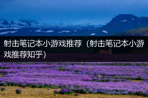 射击笔记本小游戏推荐（射击笔记本小游戏推荐知乎）
