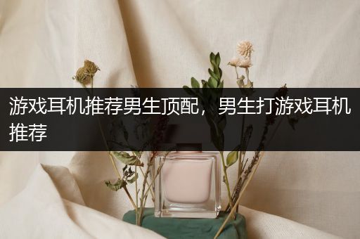 游戏耳机推荐男生顶配，男生打游戏耳机推荐