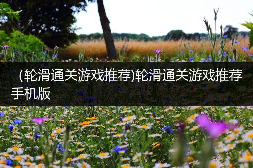 （轮滑通关游戏推荐)轮滑通关游戏推荐手机版