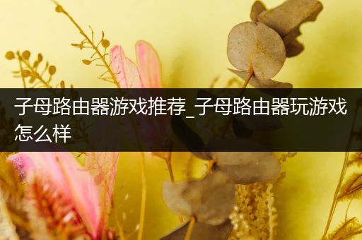 子母路由器游戏推荐_子母路由器玩游戏怎么样