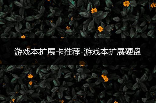 游戏本扩展卡推荐-游戏本扩展硬盘