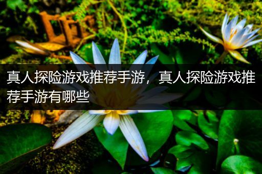 真人探险游戏推荐手游，真人探险游戏推荐手游有哪些
