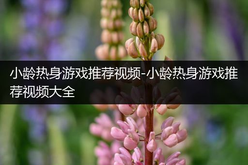 小龄热身游戏推荐视频-小龄热身游戏推荐视频大全