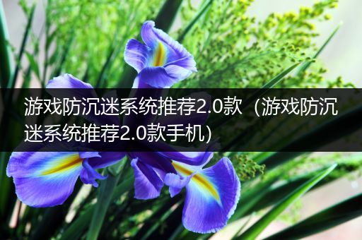 游戏防沉迷系统推荐2.0款（游戏防沉迷系统推荐2.0款手机）