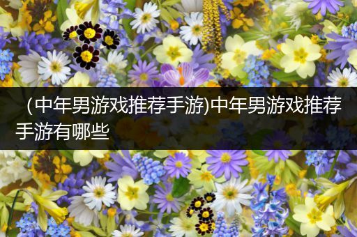 （中年男游戏推荐手游)中年男游戏推荐手游有哪些