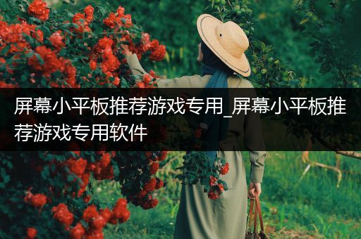 屏幕小平板推荐游戏专用_屏幕小平板推荐游戏专用软件
