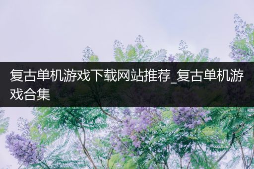 复古单机游戏下载网站推荐_复古单机游戏合集