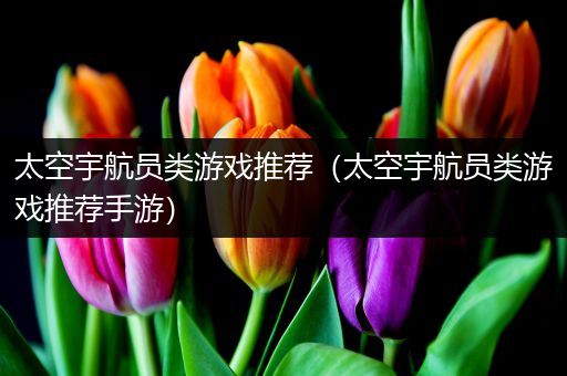太空宇航员类游戏推荐（太空宇航员类游戏推荐手游）