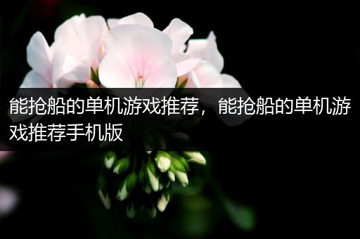 能抢船的单机游戏推荐，能抢船的单机游戏推荐手机版