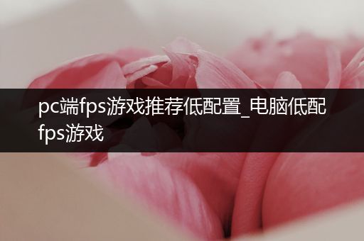pc端fps游戏推荐低配置_电脑低配fps游戏