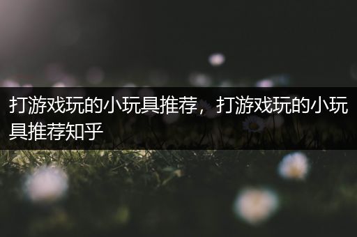 打游戏玩的小玩具推荐，打游戏玩的小玩具推荐知乎