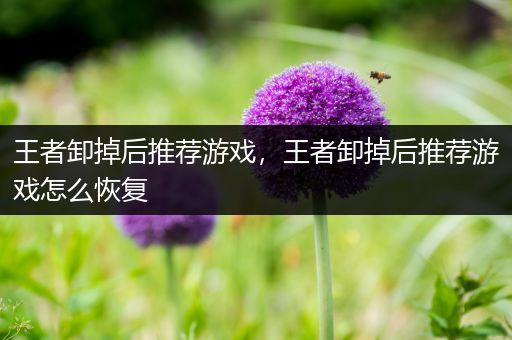 王者卸掉后推荐游戏，王者卸掉后推荐游戏怎么恢复