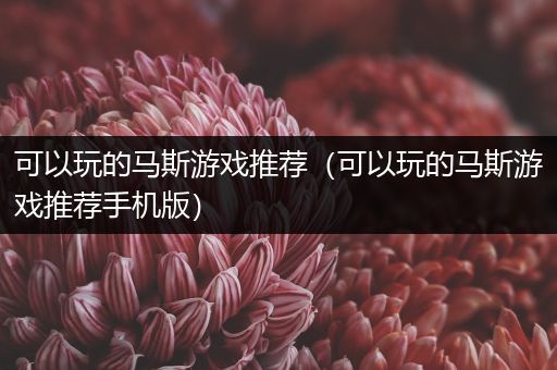 可以玩的马斯游戏推荐（可以玩的马斯游戏推荐手机版）