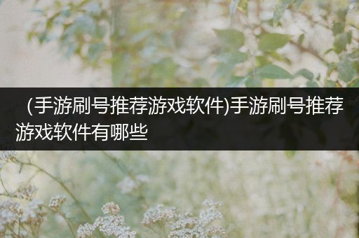 （手游刷号推荐游戏软件)手游刷号推荐游戏软件有哪些