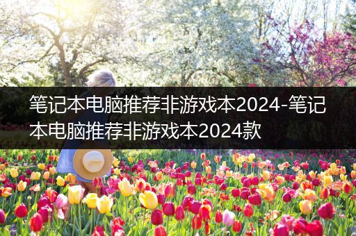 笔记本电脑推荐非游戏本2024-笔记本电脑推荐非游戏本2024款